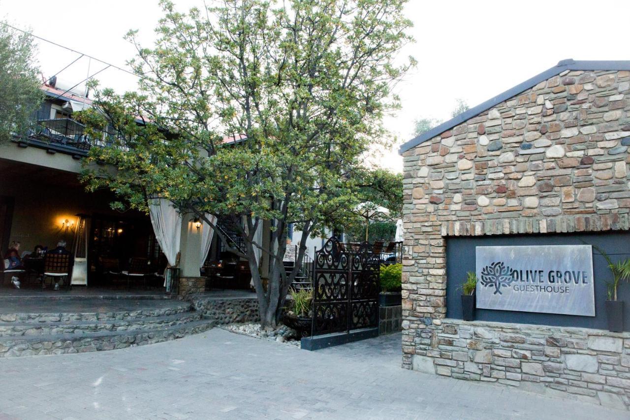 Olive Grove Guesthouse Windhoek Exteriér fotografie